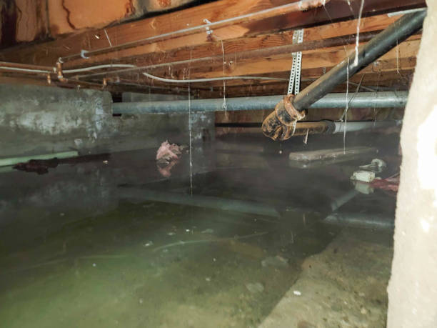 Best 24/7 water damage repair  in East Palestine, OH