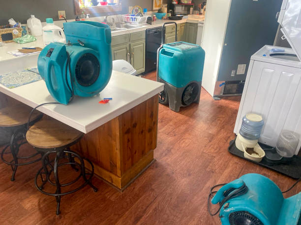 Best Water damage restoration experts  in East Palestine, OH