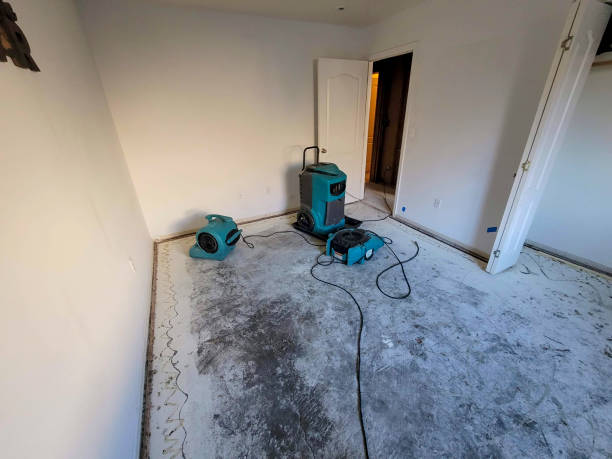 Best Water damage restoration near me  in East Palestine, OH