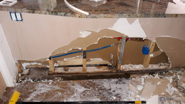 Best Professional water damage repair  in East Palestine, OH