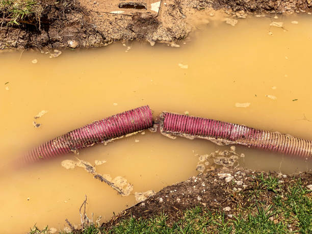 Best Water damage restoration specialists  in East Palestine, OH