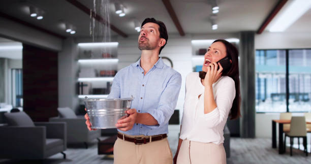 Best Carpet water damage restoration  in East Palestine, OH